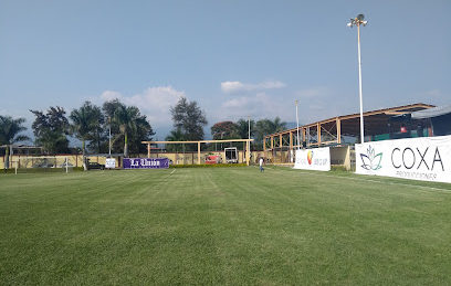 Venue